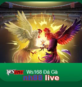 nh88 live